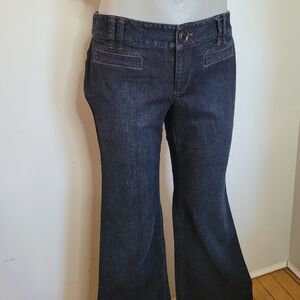 Ann Taylor Loft Women's Dark Blue Jeans
